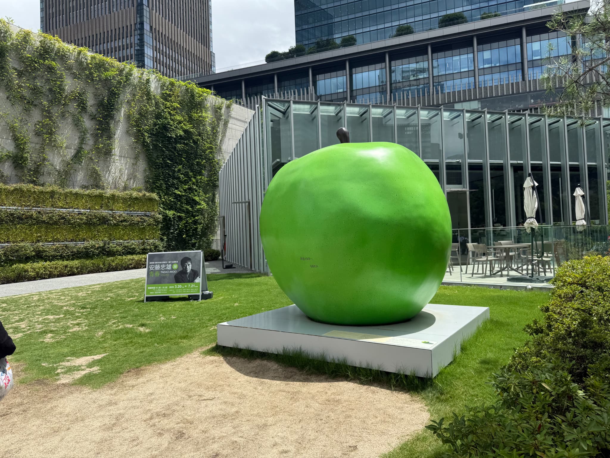 安藤忠雄展「青春」